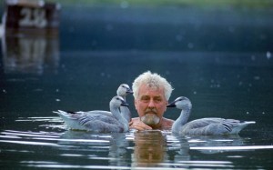 Konrad Lorenz Swims Geese